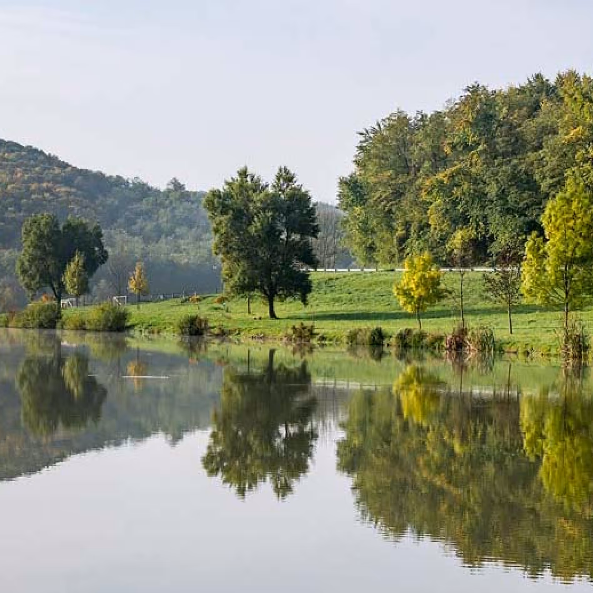Zöldellő legelő
