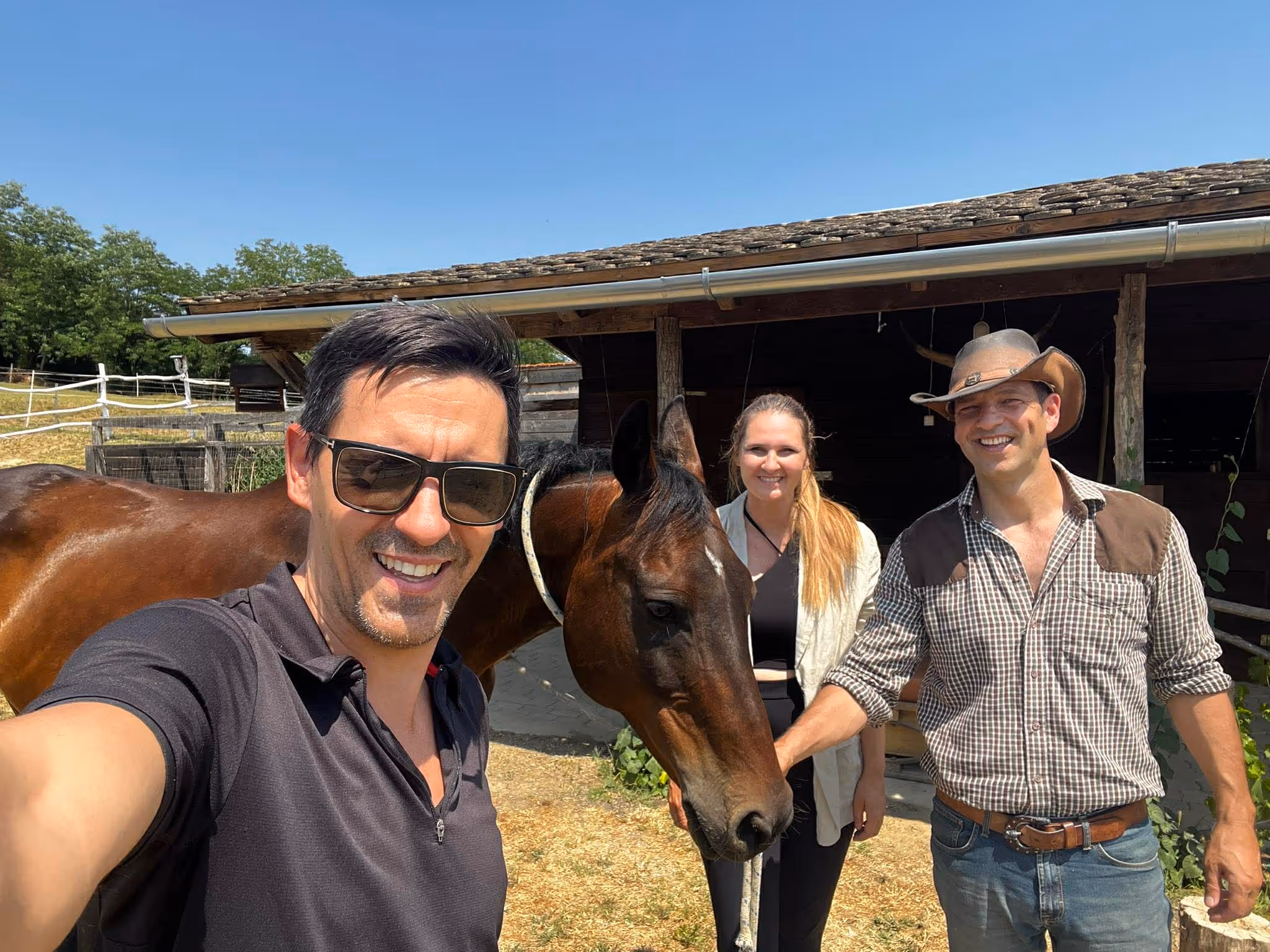 Sipos Csaba